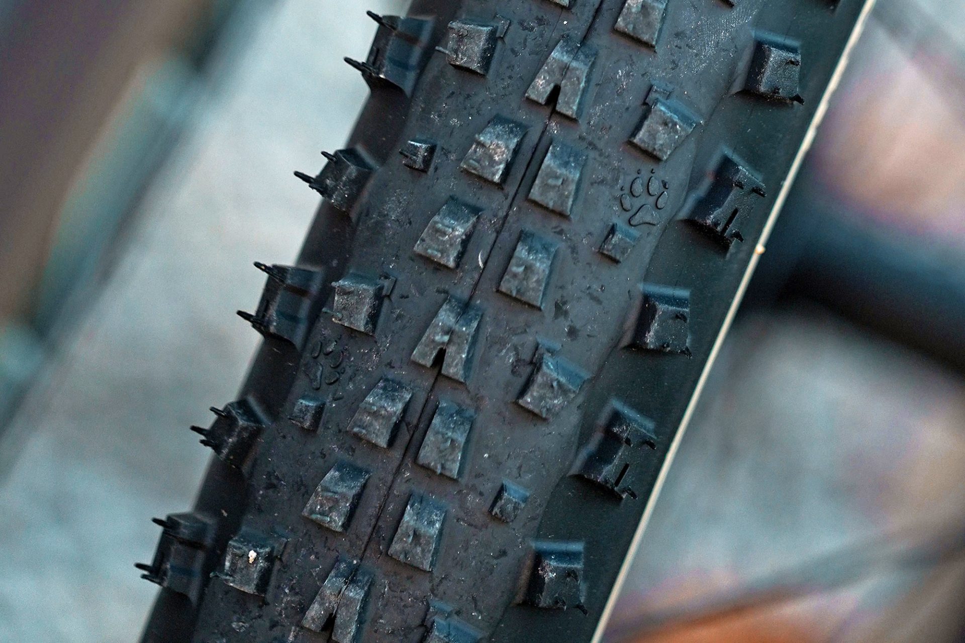 Onza Canis revamped versatile fast XC light trail mountain bike tire, photo by Jacques Merkle, up close