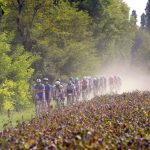 2022 Gravel World Championships, which the Gravel World Series races serving as qualifiers