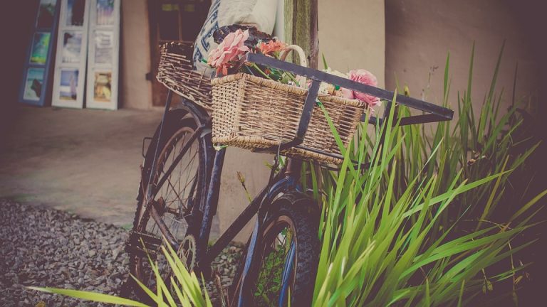 Pedalando verso un futuro sostenibile: i vantaggi del ciclismo per la nostra salute e l’ambiente